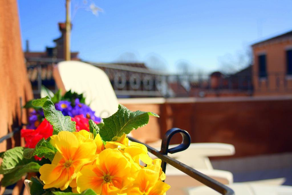 Terrazza Biennale Venecia